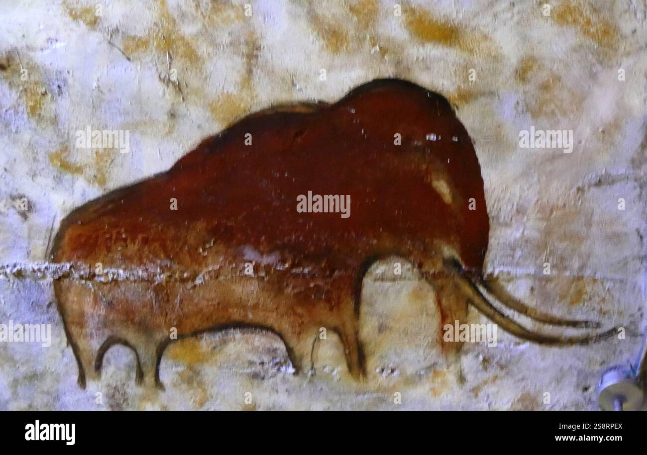 Verniciatura Replica dalla Grotta di Altamira (Cueva de Altamir) che si trova nei pressi della storica città Santillana del Mar in Cantabria, Spagna, è rinomata per le sue numerose grotte parietali dipinti con disegni a carboncino e pitture policrome contemporaneo di flora e fauna locale e mani umane, creato tra 18.500 e 14.000 anni fa durante il Paleolitico Superiore dal paleo coloni umani. I primi dipinti nella grotta sono stati eseguiti circa 35,600 anni fa. Foto Stock