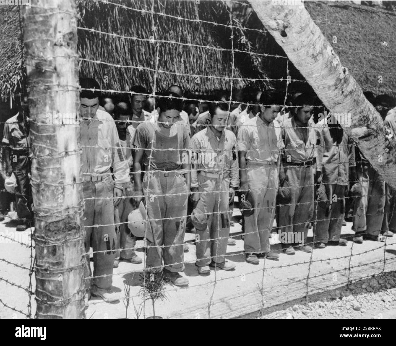 Prigioniero giapponese a Guam, con la testa piegata dopo aver sentito l'imperatore Hirohito annunciare la resa incondizionata del Giappone. Foto ufficiale della Marina degli Stati Uniti. Pubblicato il 15 agosto 1945 Foto Stock