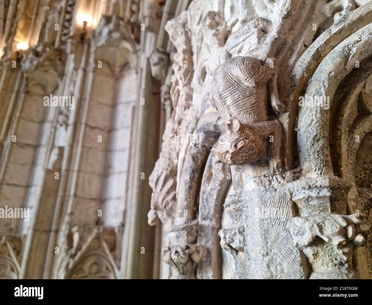 Palazzo dei Papi (Palais des Papes) ad Avignone, Francia Foto Stock