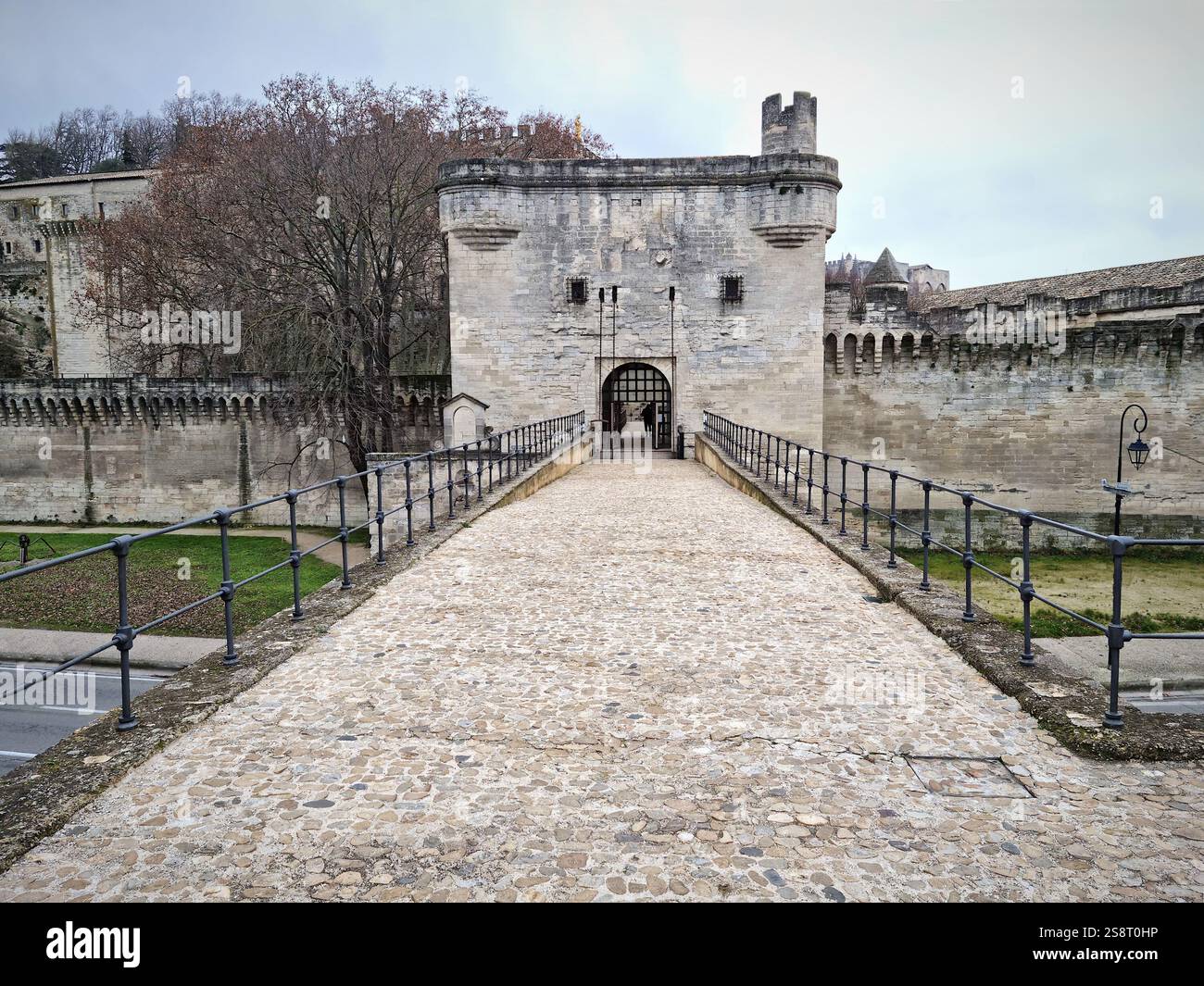 Vista sul ponte di Avignone, nel sud della Francia Foto Stock