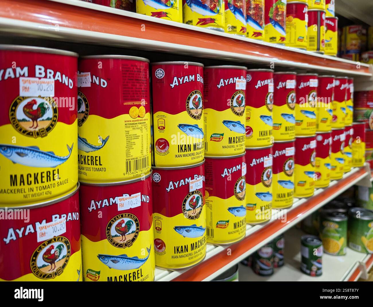 Kota Kinabalu, Malesia - 20 gennaio 2025: Lo sgombro e la sardine di Ayam Brand in uno scaffale al supermercato. - Immagine stock catturata con smartphone Kota Kinabalu, Malesia - 20 gennaio 2025: Lo sgombro e la sardine di Ayam Brand in uno scaffale al supermercato. - Immagine stock catturata con smartphone