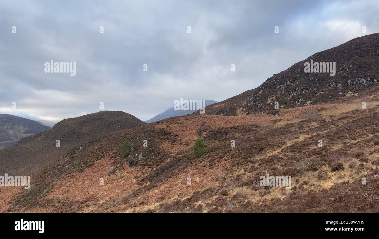Dun Coillich Hill e glen intorno a Glengoulandie nelle Highlands scozzesi. Perthshire. Vista sulla campagna scozzese e sulle montagne con l'erica - Immagine stock catturata con smartphone