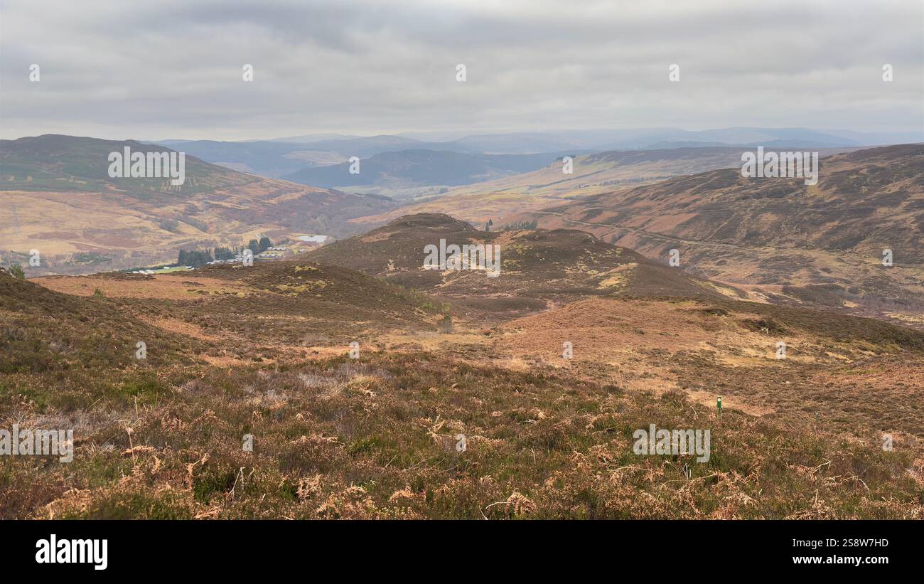 Dun Coillich Hill e glen intorno a Glengoulandie nelle Highlands scozzesi. Perthshire. Vista sulla campagna scozzese e sulle montagne con l'erica - Immagine stock catturata con smartphone