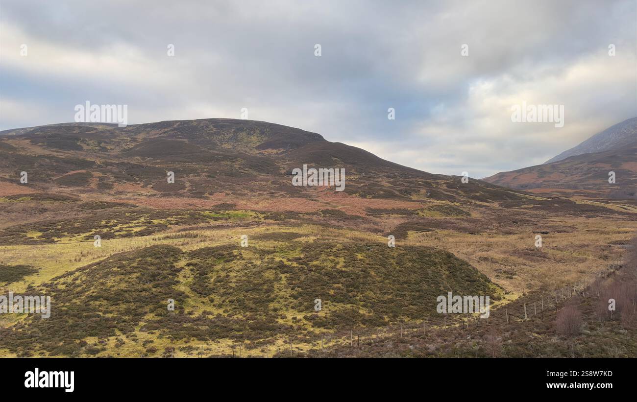 Dun Coillich Hill e glen intorno a Glengoulandie nelle Highlands scozzesi. Perthshire. Vista sulla campagna scozzese e sulle montagne con l'erica - Immagine stock catturata con smartphone
