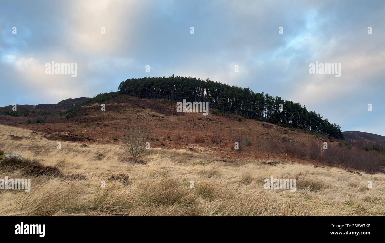 Dun Coillich Hill e glen intorno a Glengoulandie nelle Highlands scozzesi. Perthshire. Vista sulla campagna scozzese e sulle montagne con l'erica - Immagine stock catturata con smartphone