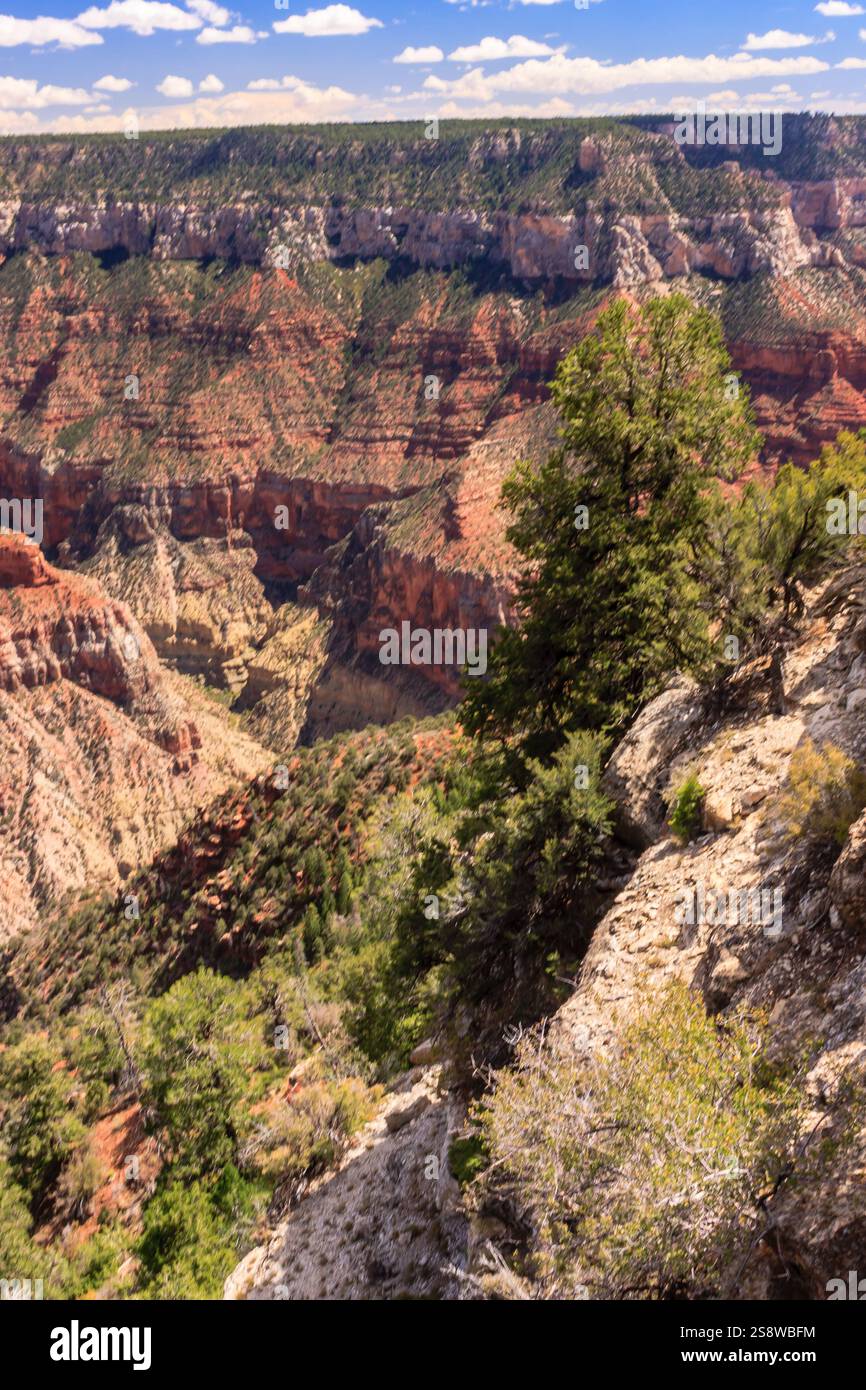 Il Grand Canyon National Park è uno dei parchi nazionali più antichi degli Stati Uniti e si trova in Arizona. All'interno del parco si trova il Grand Canyon, un gorg Foto Stock