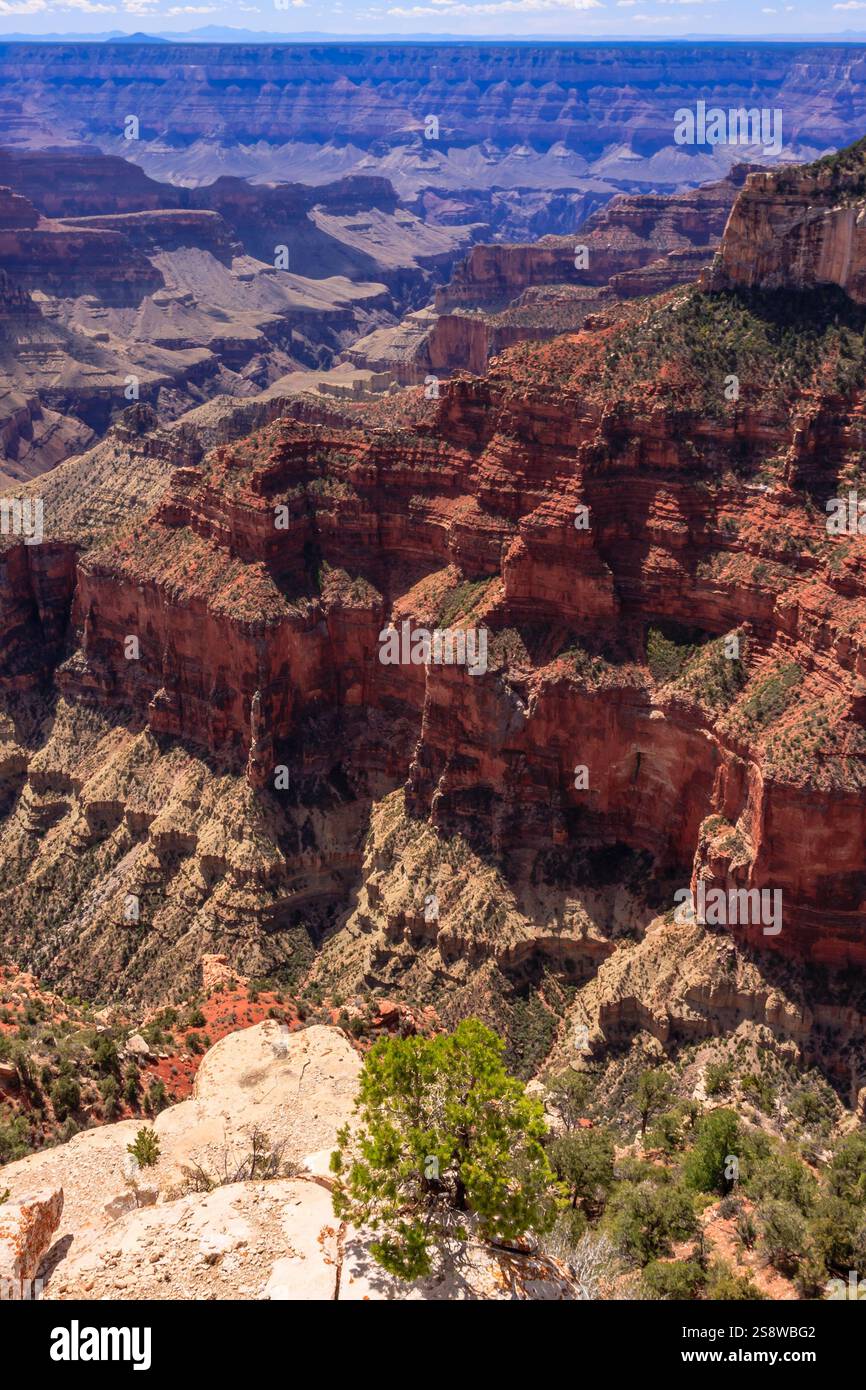 Il Grand Canyon National Park è uno dei parchi nazionali più antichi degli Stati Uniti e si trova in Arizona. All'interno del parco si trova il Grand Canyon, un gorg Foto Stock