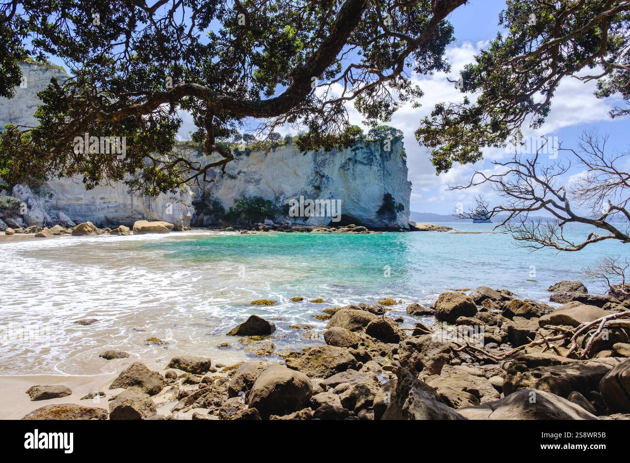 Spiaggia di Stingray Bay e paesaggio roccioso, escursione nella natura Cathedral Cove Walk, Hahei, Penisola di Coromandel, Waikato, nuova Zelanda, NUOVA ZELANDA Foto Stock