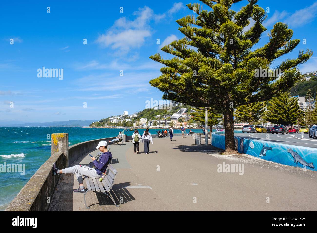 Persone che camminano lungo la passeggiata pedonale costiera di Oriental Bay, Oriental Parade, Wellington New Zealand North Island, nuova Zelanda, nuova Zelanda, nuova Zelanda, nuova Zelanda Foto Stock