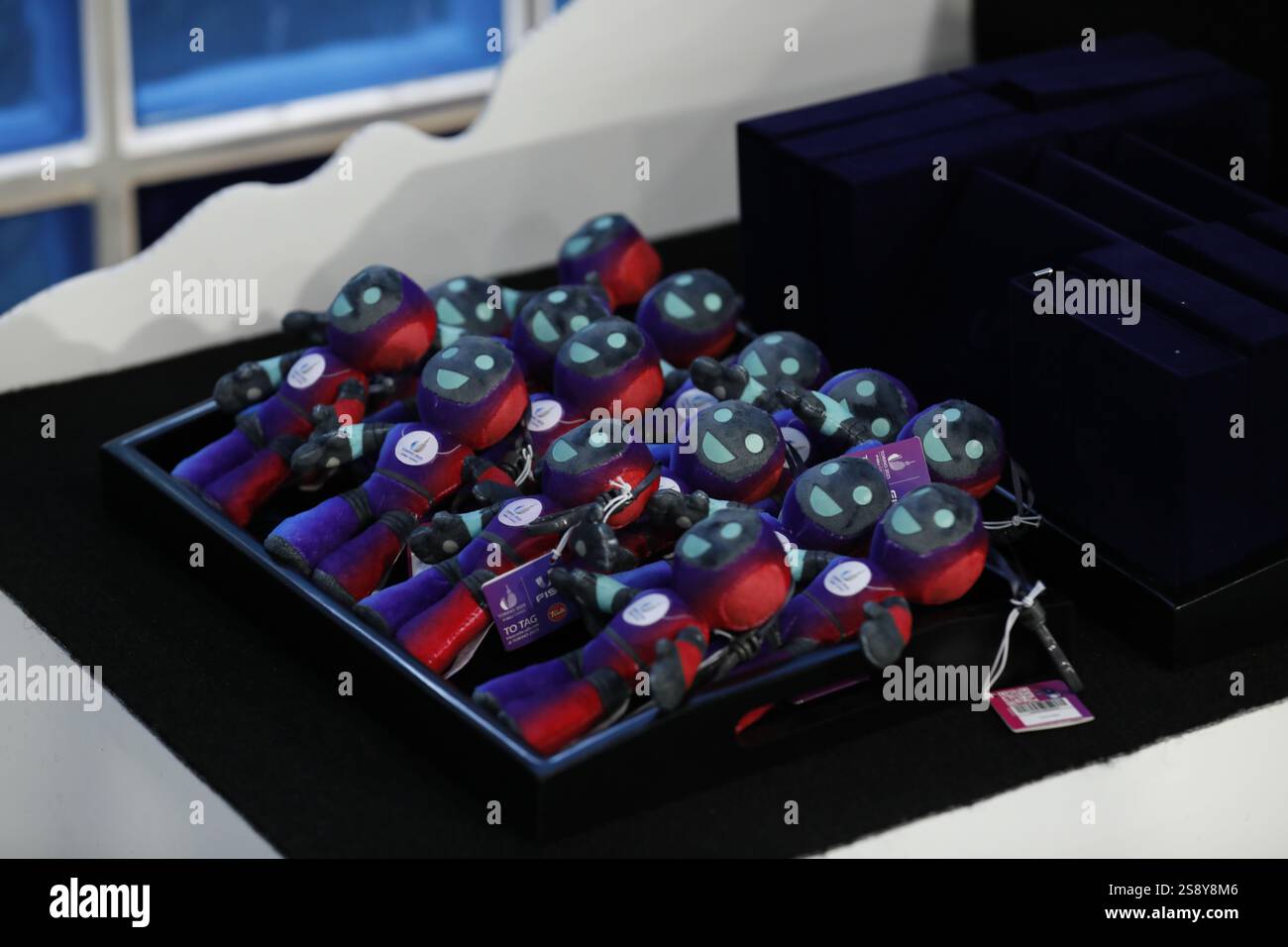 (250124) -- TORINO, 24 gennaio 2025 (Xinhua) -- foto scattata il 23 gennaio 2025 mostra le mascotte dei Giochi Mondiali invernali della FISU 2025 a Torino, Italia. (Ventola Xinhua/Zhang) Foto Stock