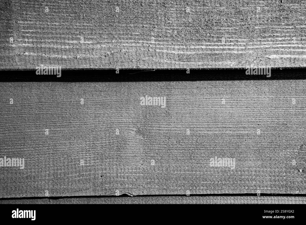 Superficie in legno testurizzato con motivi a grana naturale in visualizzazione monocromatica Foto Stock