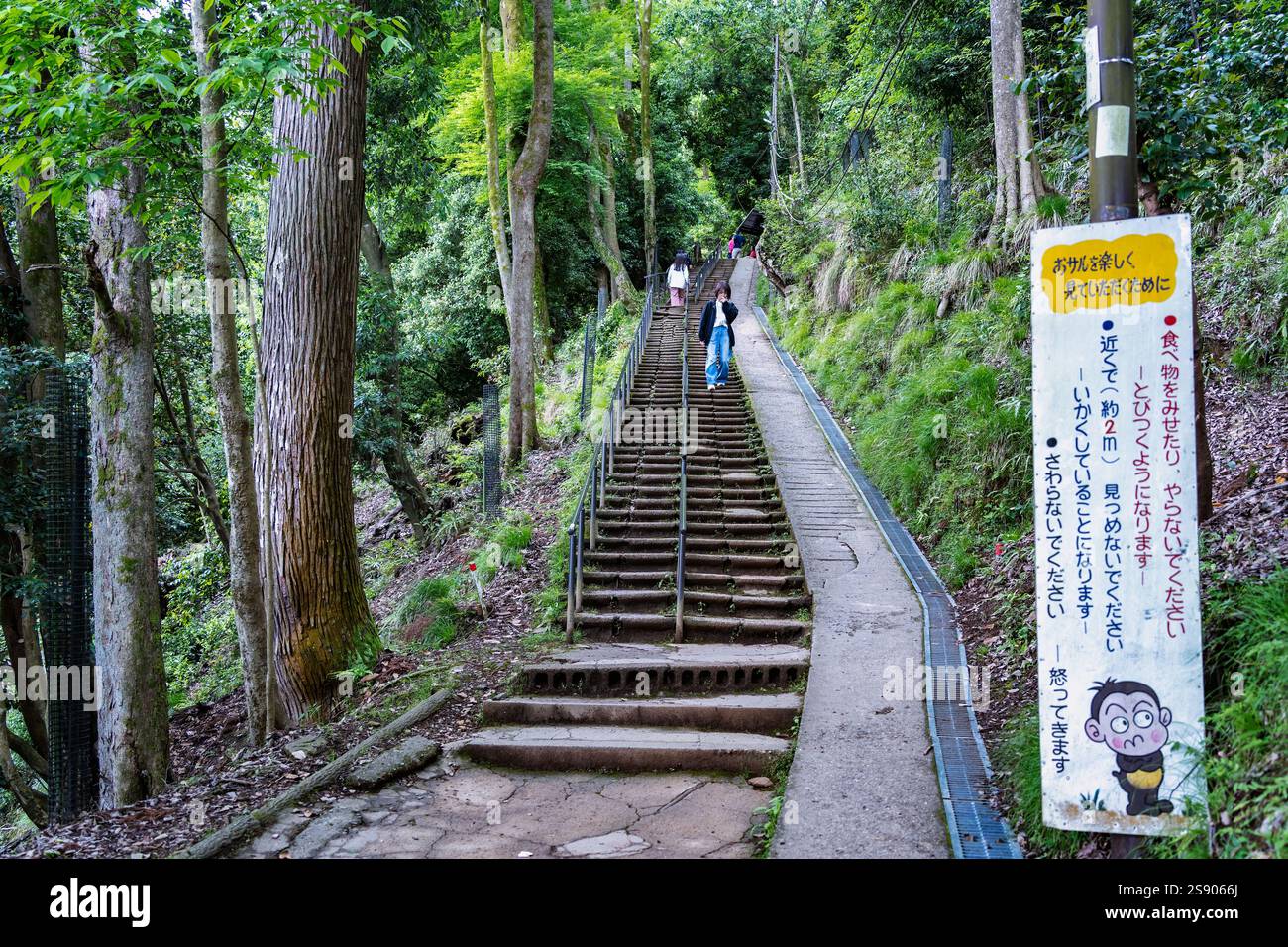 Kyoto, Giappone - 05.08.2024: Scalini ripidi che portano al Parco delle Scimmie di Arashiyama Iwatayama Foto Stock