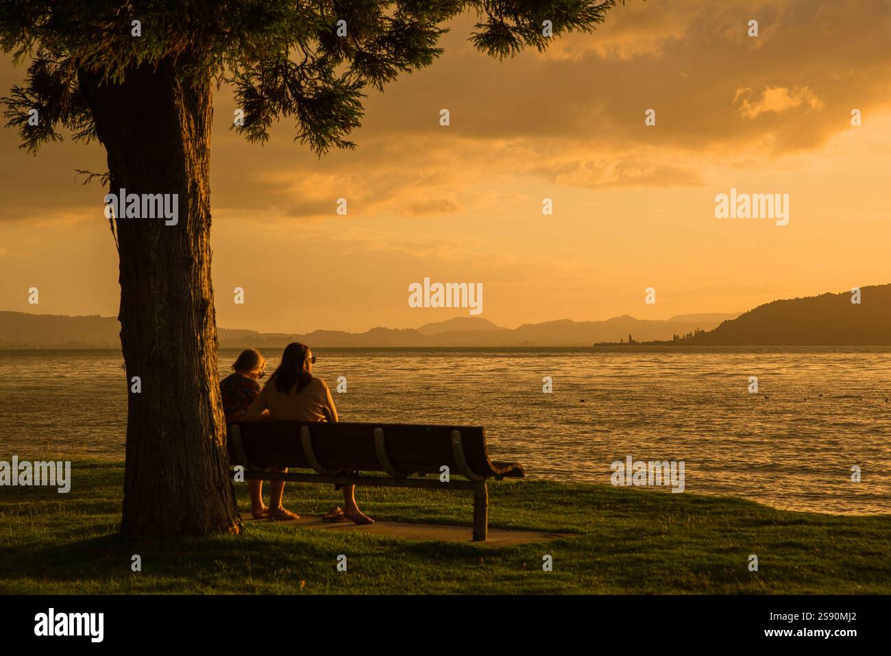 Due persone sedute su una panchina sotto un albero osservando il tramonto sul Lago Rotorua, Isola del Nord, nuova Zelanda Foto Stock
