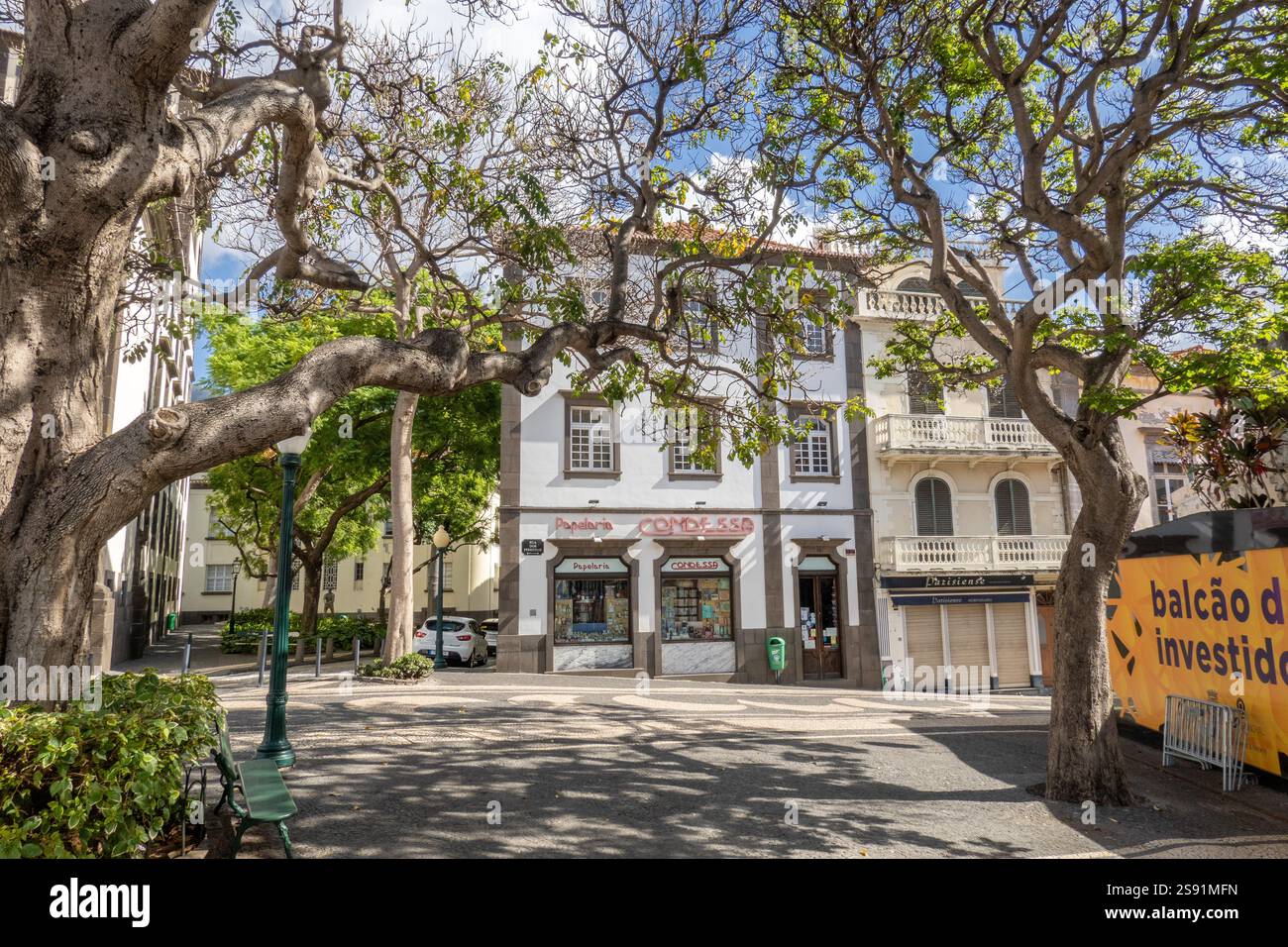 Edifici tradizionali di Funchal con le facciate dei negozi e la grande Madeira degli antichi alberi Foto Stock