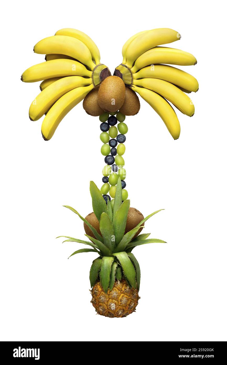 Foto creativa della palma fatta di frutta e verdura su sfondo bianco Foto Stock
