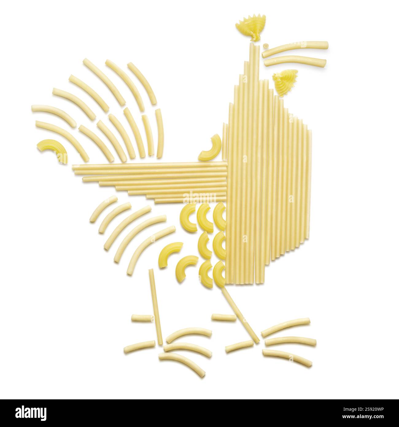 Concetto creativo di cibo foto di un pollo fatto con pasta cruda Foto Stock