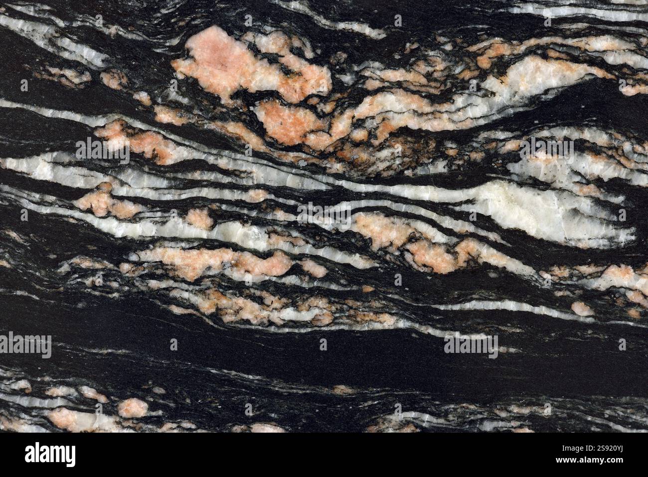 Motivo naturale di granito bianco e nero e rosa lucido Disc Mineral. Altissima risoluzione. GRANITE Porto Rose, San Pietroburgo Foto Stock