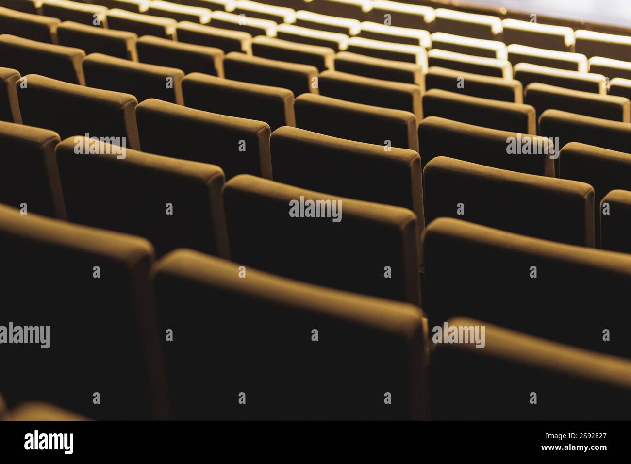 File di posti vuoti in un auditorium o in un teatro, creando un senso di anticipazione e potenziale. Foto di alta qualità Foto Stock