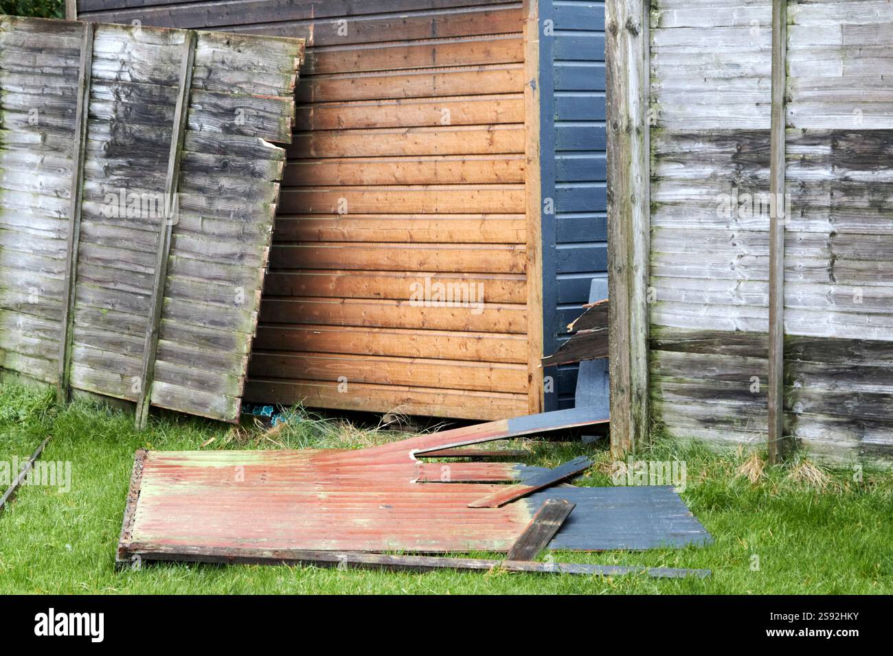 Recinzione del giardino danneggiata in caso di forte vento in rosso a causa della tempesta Eowyn , Newtownabbey, Irlanda del Nord, Regno Unito Foto Stock