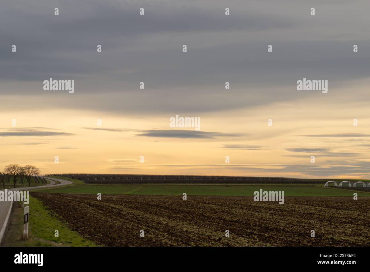 , Deutschland, Rheinland-Pfalz, Offenbach an der Queich, 24.01.2025, Eine ruhige Landschaft mit Feldern und einer kurvigen Straße, eingefangen bei ei Foto Stock
