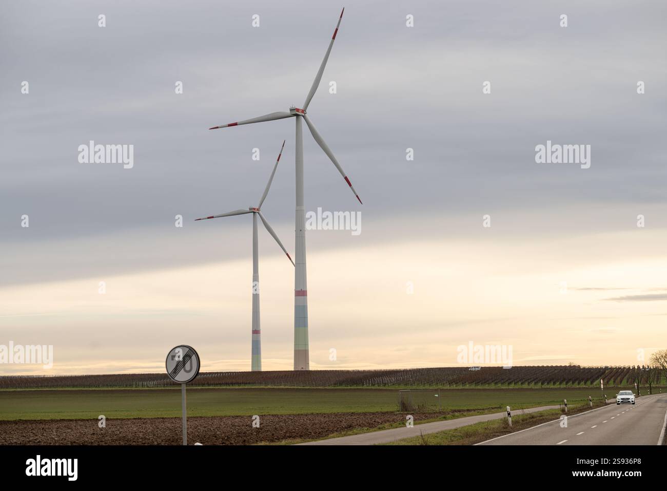 , Deutschland, Rheinland-Pfalz, Offenbach an der Queich, 24.01.2025, Mehrere Windkraftanlagen in einer ländlichen Landschaft unter bewölktem Himmel, Foto Stock