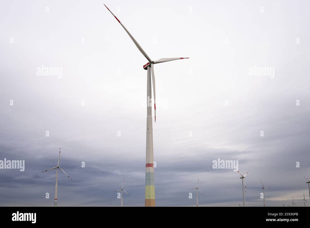, Deutschland, Rheinland-Pfalz, Offenbach an der Queich, 24.01.2025, Mehrere Windkraftanlagen in einer ländlichen Landschaft unter bewölktem Himmel, Foto Stock
