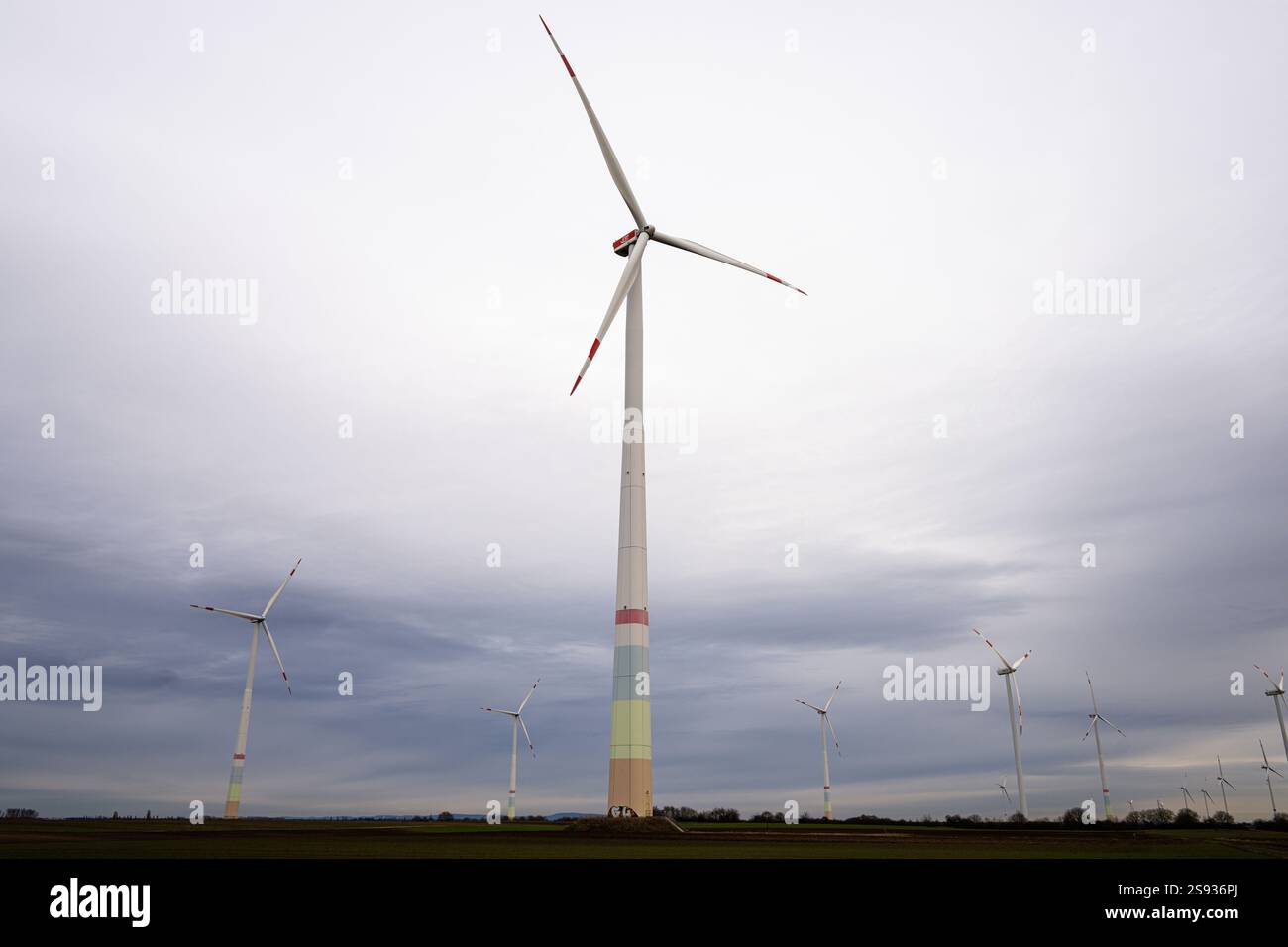 , Deutschland, Rheinland-Pfalz, Offenbach an der Queich, 24.01.2025, Mehrere Windkraftanlagen in einer ländlichen Landschaft unter bewölktem Himmel, Foto Stock
