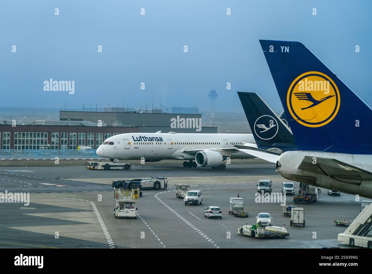 Francoforte sul meno, Deutschland, Europa, Flughafen, Lufthansa, Boeing 787 Dreamliner, Luftverkehr, Terminalbetrieb, Bodenabfertigung, Flughafenlogistik, internationale Luftfahrt, COâ-Reduzierung, nachhaltiges Fliegen, Flugticketpreise, globale Mobilität, Luftfahrtkrise, Lieferkettenprobleme, Digitalisierung im Flugverkehr, Sicherheitskontrollen, Streiks im Luftverkehr, Arbeitsbedingungen in der Luftfahrt, Konkurrenzdruck in der Branche, Lufthansa-Flottenmodernisierung *** Francoforte sul meno, Germania, Europa, aeroporto, Lufthansa, Boeing 787 Dreamliner, traffico aereo, operazioni terminal, mano di terra Foto Stock