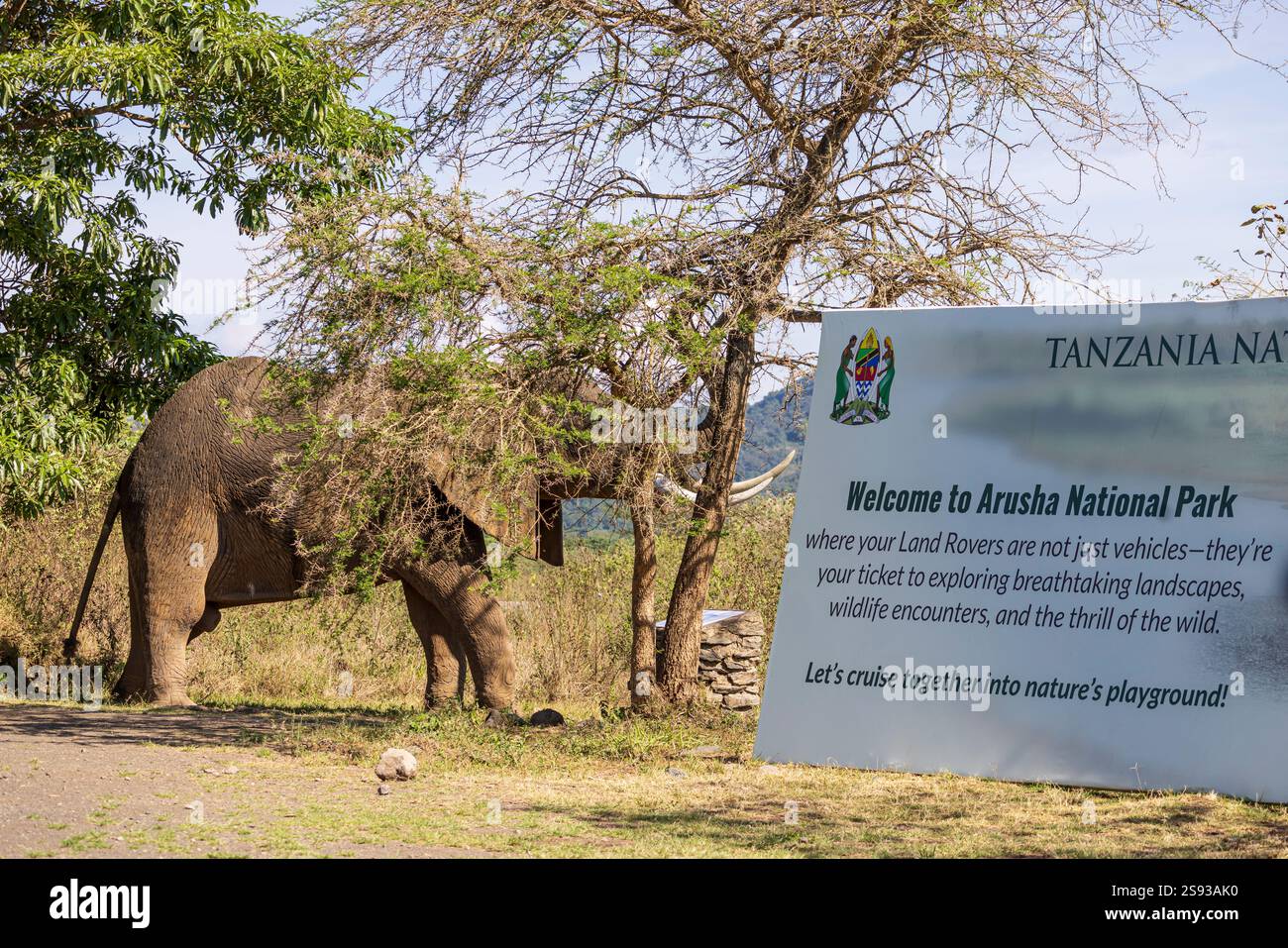 Arusha, Tanzania - 17 novembre 2024: Scultura di elefante e grandi informazioni i visitatori segnalano per accogliere i turisti all'ingresso del Parco Nazionale di Arusha i Foto Stock