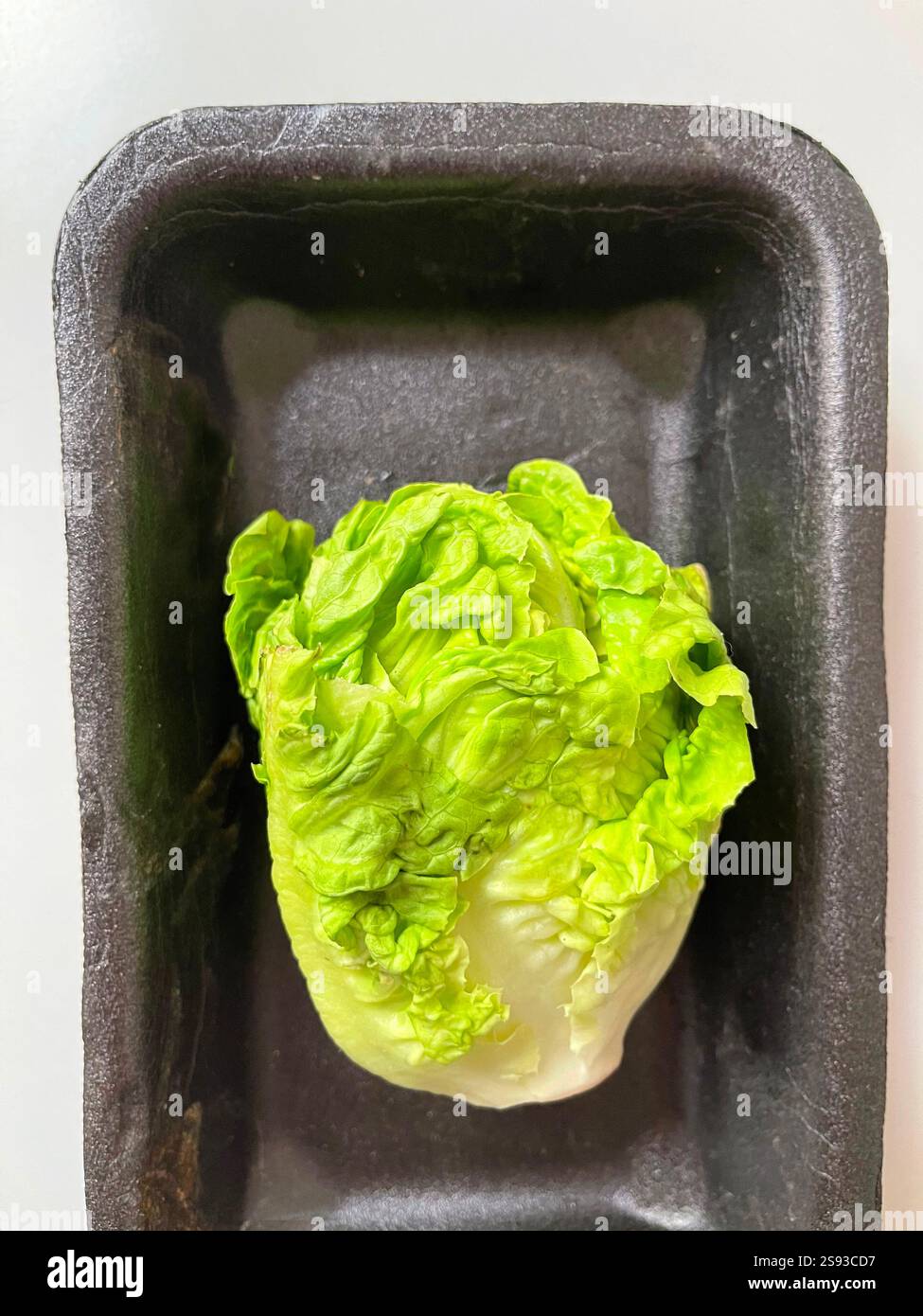 Lattuga in contenitore di plastica. - Immagine stock catturata con smartphone