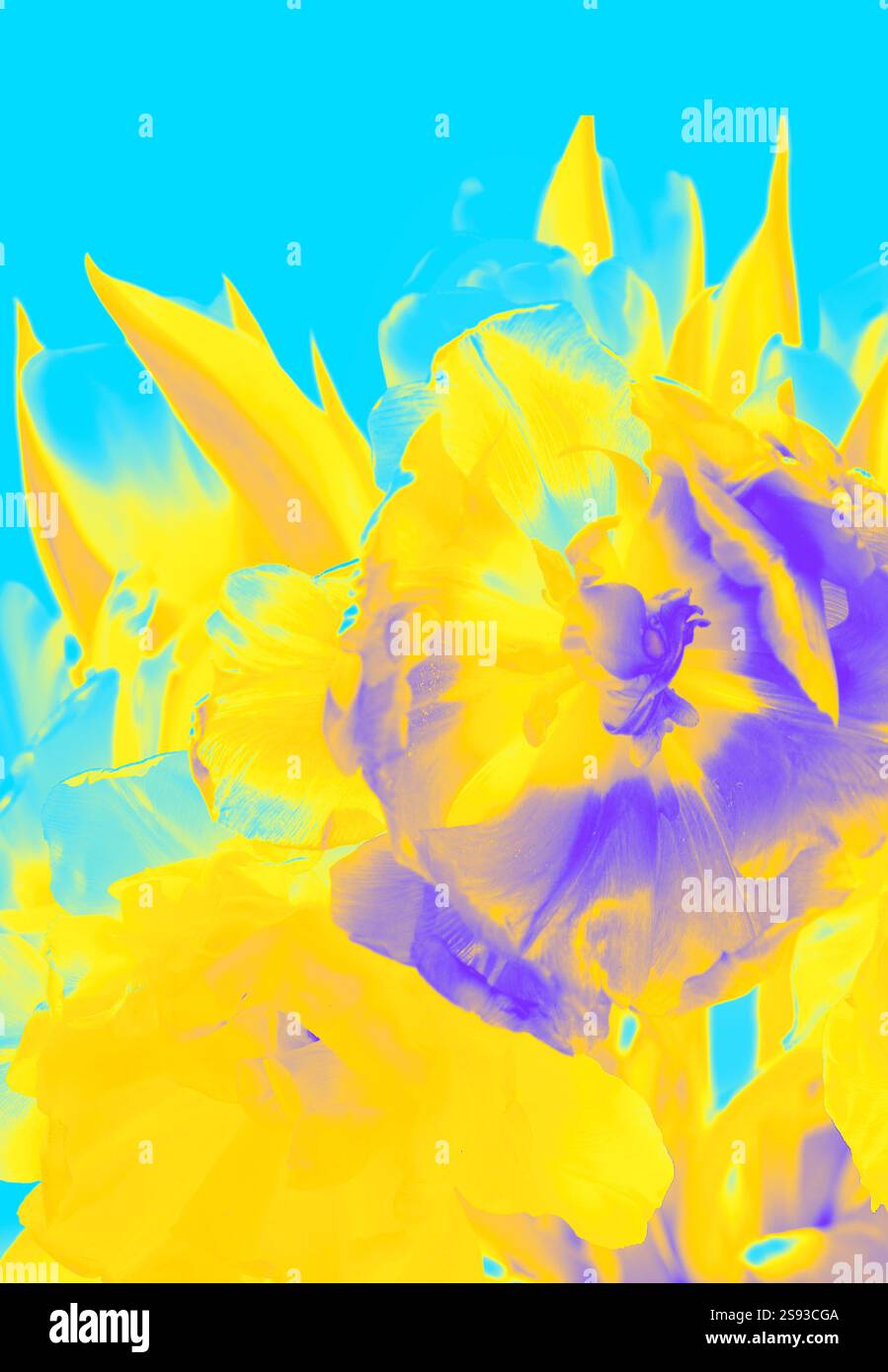 Una vivida rappresentazione astratta di tulipani di fiori dalle tonalità gialle e blu audaci con dettagli sfumati. Design moderno accattivante, perfetto per l'arredamento Foto Stock