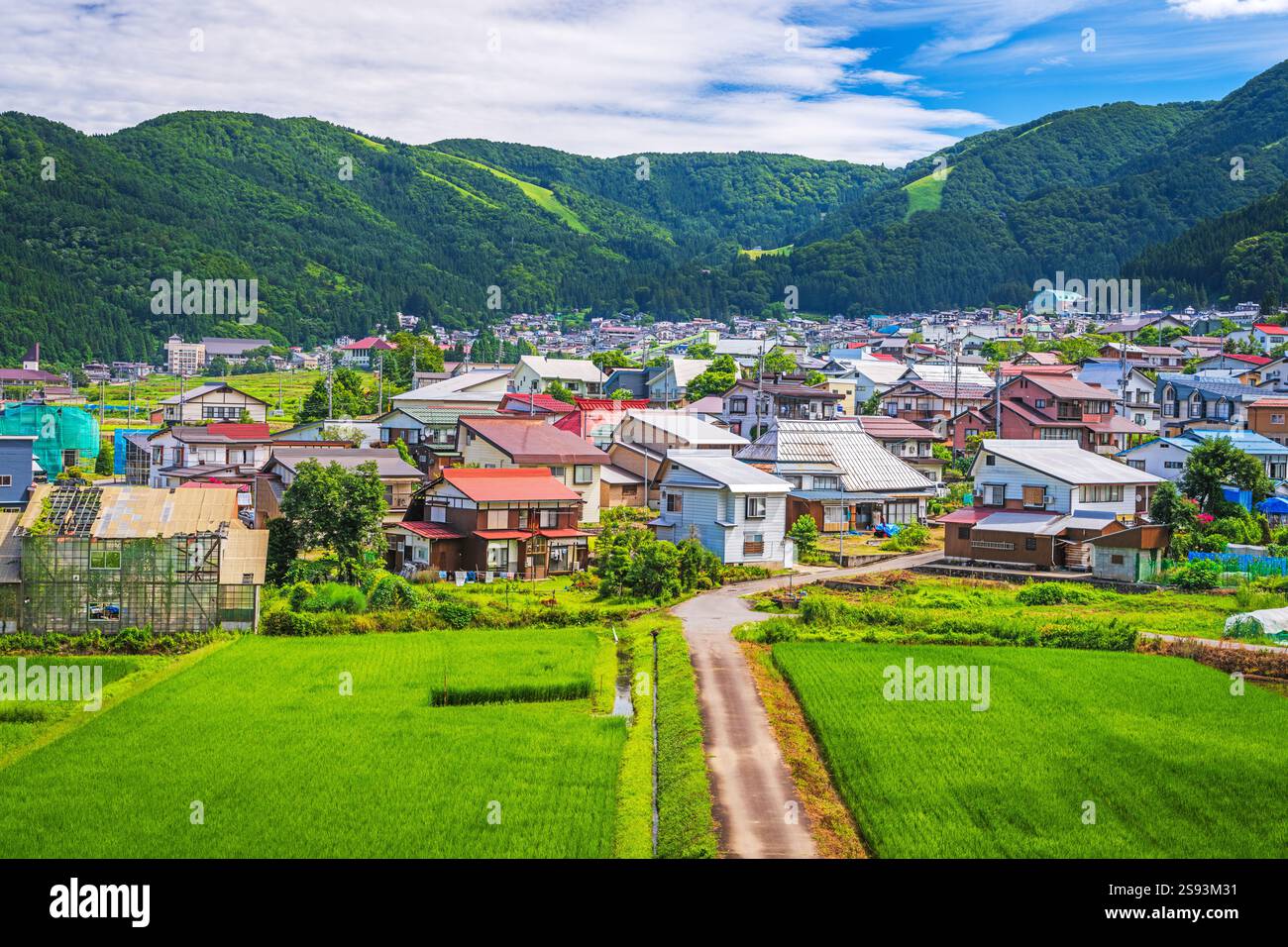 Nozawa, comunità agricola giapponese in estate. Foto Stock