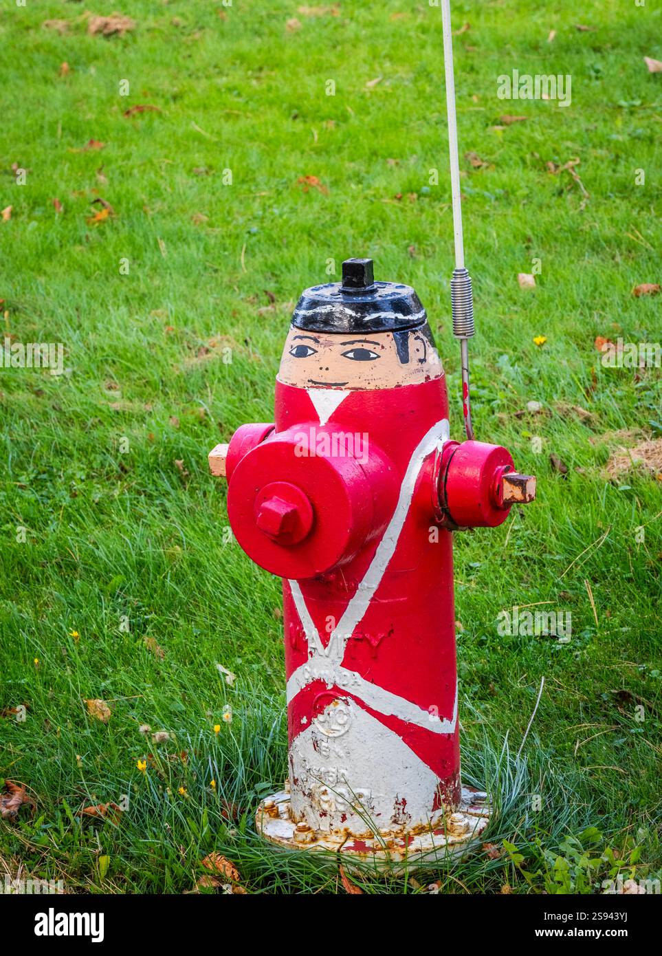 Idrante dipinto al Fort Point Lighthouse Park a Liverpool, nuova Scozia, Canada Foto Stock