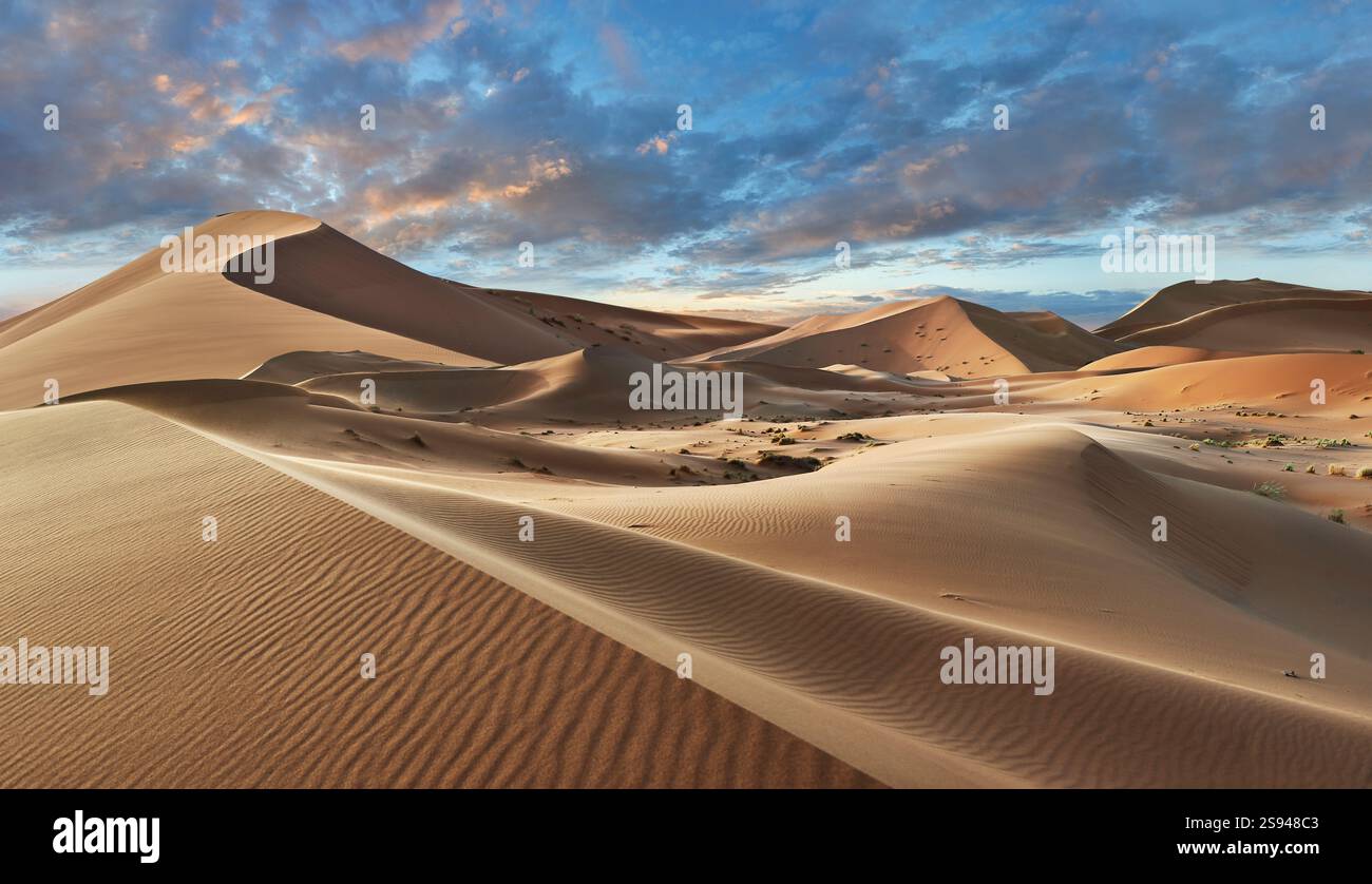 Le splendide dune di sabbia di Erg Chebbi Saharah, Sahara, Marocco all'alba, paesaggio panoramico Foto Stock