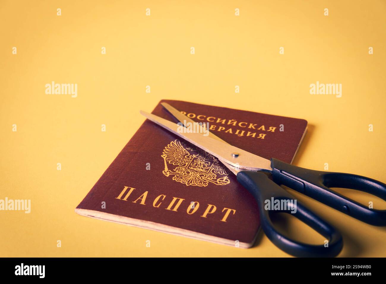 Deportazione dalla Russia. Privazione della cittadinanza. Modifica del paese. Le forbici tagliano il passaporto di un cittadino della Federazione Russa. Foto Stock