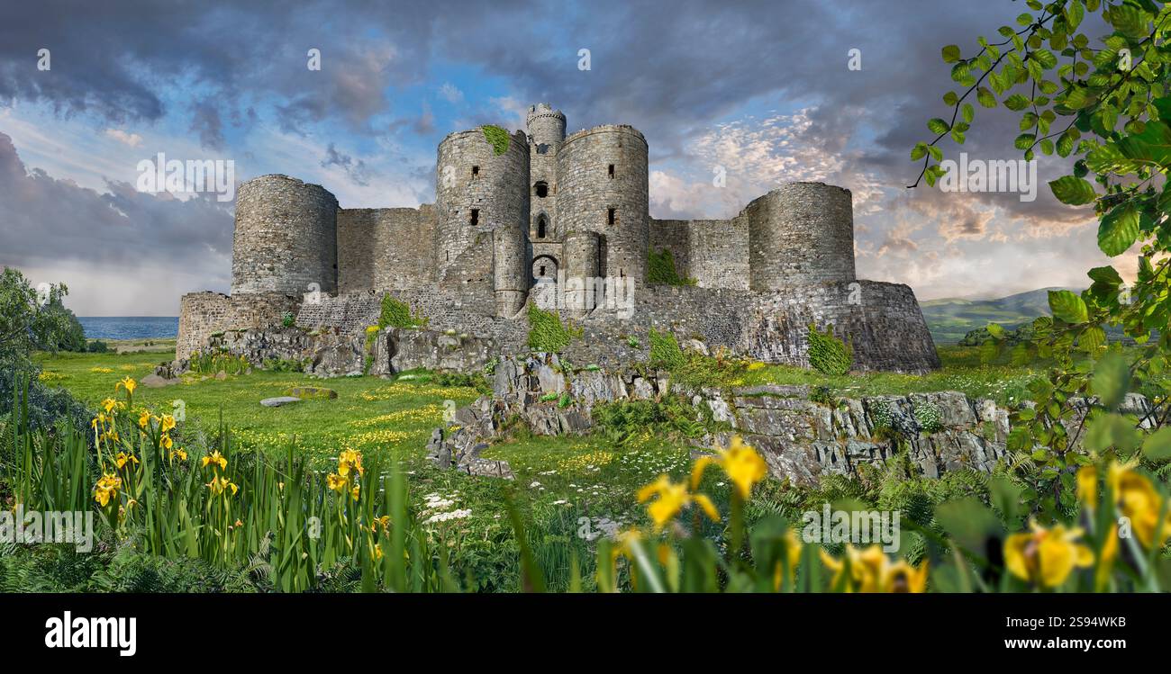 Foto del castello medievale di Harlech, Galles. Il castello di Harlech è un re medievale Edwcared i su 200 piedi (61 m) una scogliera rocciosa che si affaccia sul mare Foto Stock