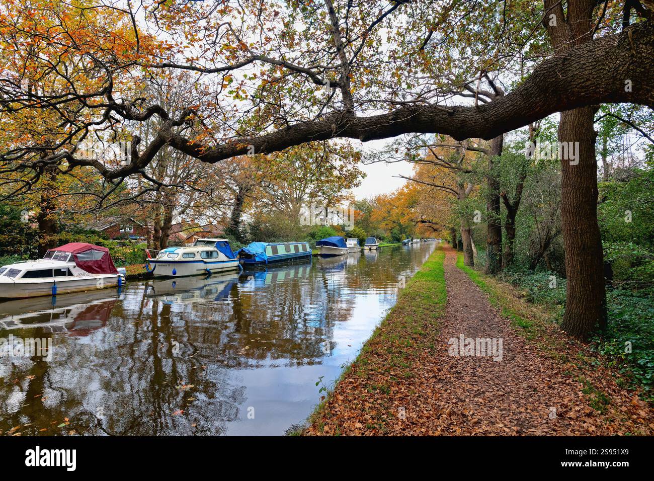 Il canale di navigazione del fiume Wey in una colorata giornata autunnale New Haw Surrey Inghilterra Regno Unito Foto Stock