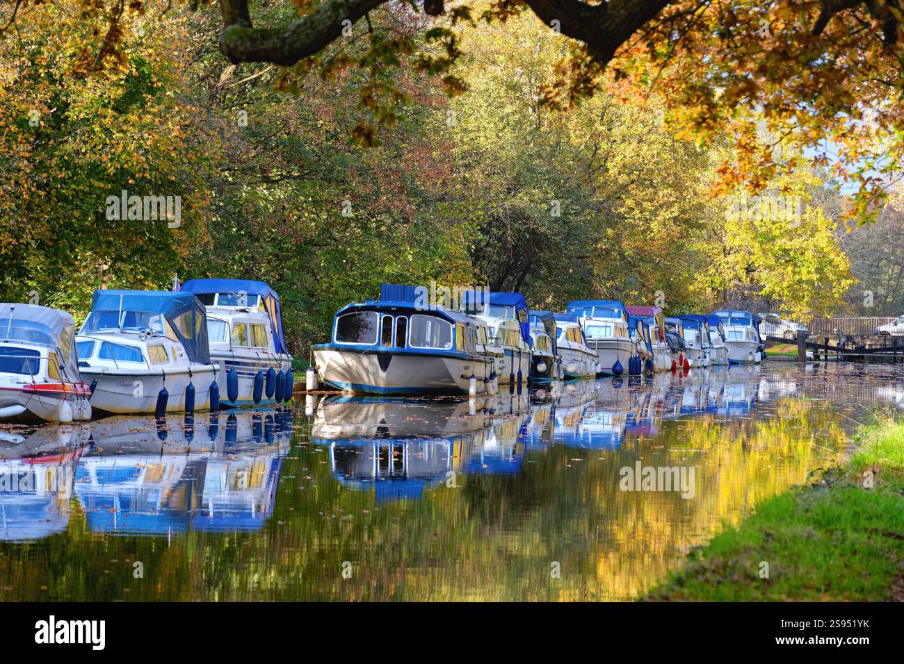 Il canale di navigazione del fiume Wey in una colorata giornata autunnale New Haw Surrey Inghilterra Regno Unito Foto Stock