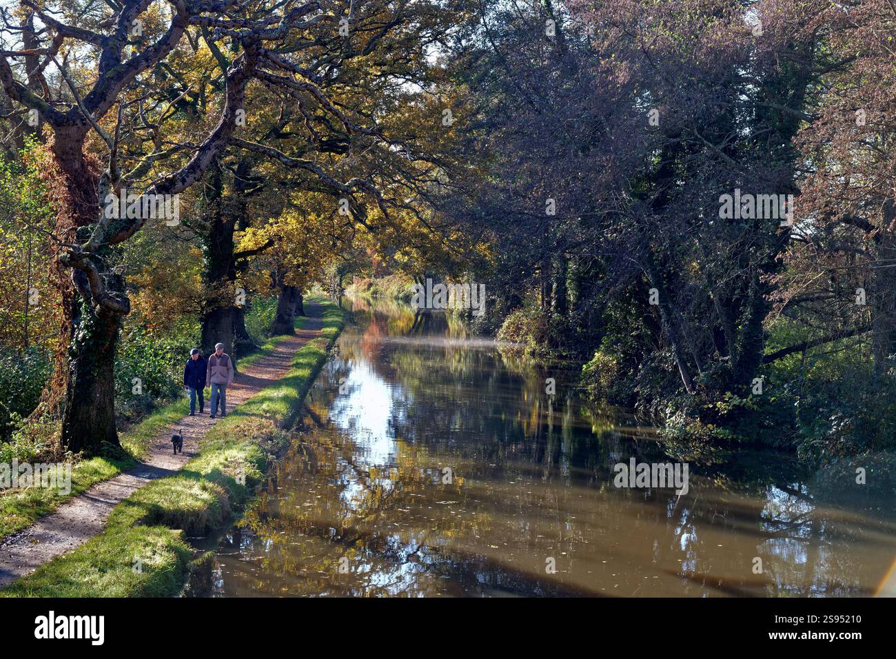 Due uomini anziani che camminano con un cane lungo il canale navigabile del fiume Wey in una giornata autunnale di sole Byfleet Surrey Inghilterra Regno Unito Foto Stock