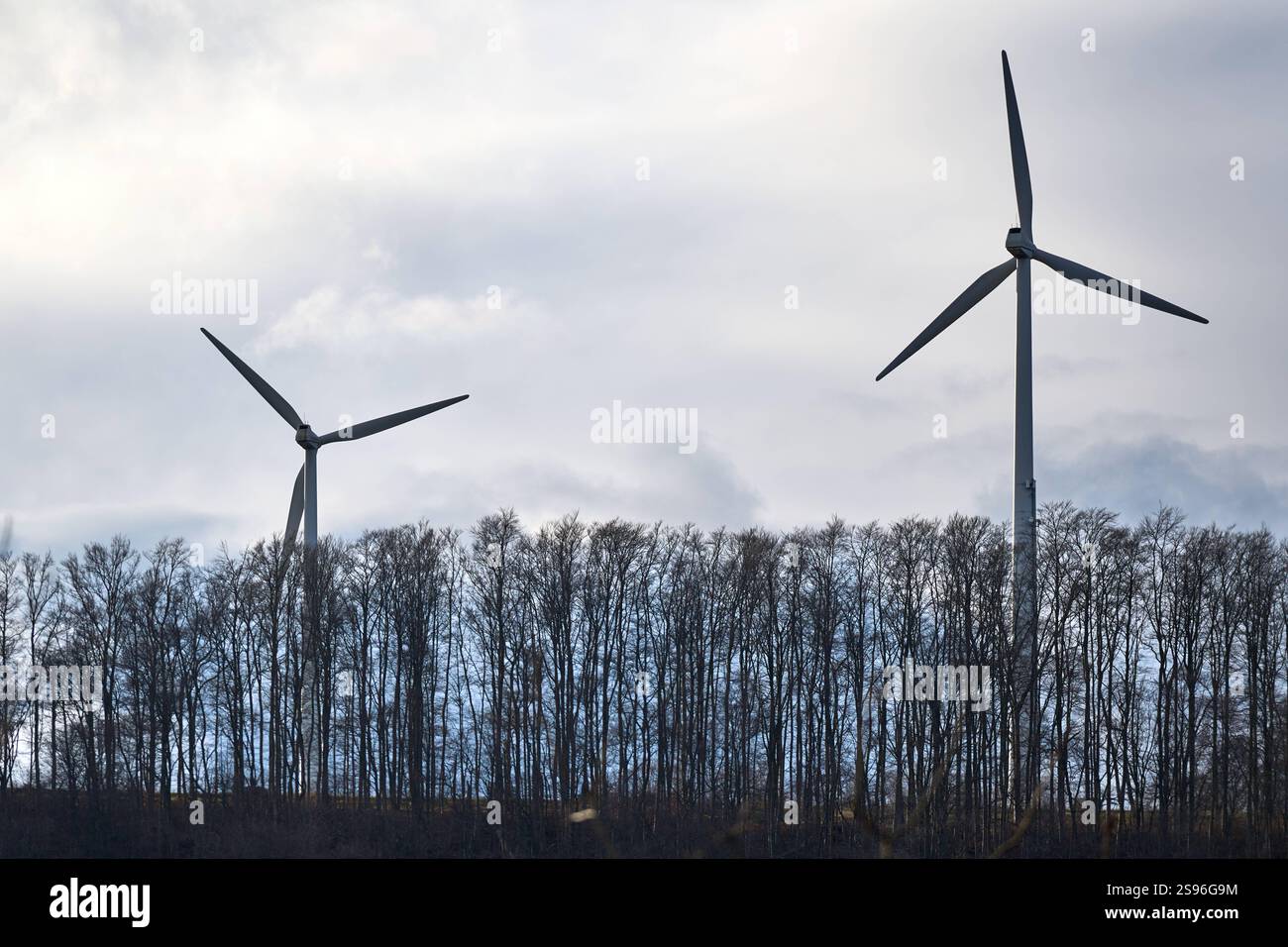 Baden-Württemberg, Germania - 23 gennaio 2025: Due turbine eoliche per la produzione di energia. Simbolo delle energie rinnovabili e della transizione energetica *** Zwei Windräder zur Stromerzeugung. Symbol für erneuerbare Energien und die Energiewende Foto Stock
