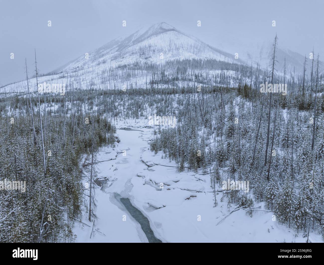 Kootenay National Park, British Columbia, Canada Foto Stock