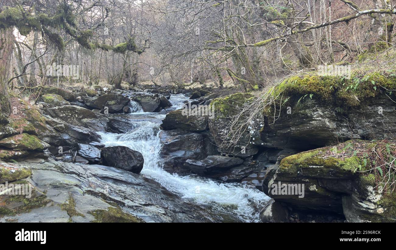The Birks of Aberfeldy Famous Walk Along Moness Burn dove Robert Burns scrisse la sua canzone d'amore scozzese nel 1787. Destinazione turistica e posizione naturale - Immagine stock catturata con smartphone