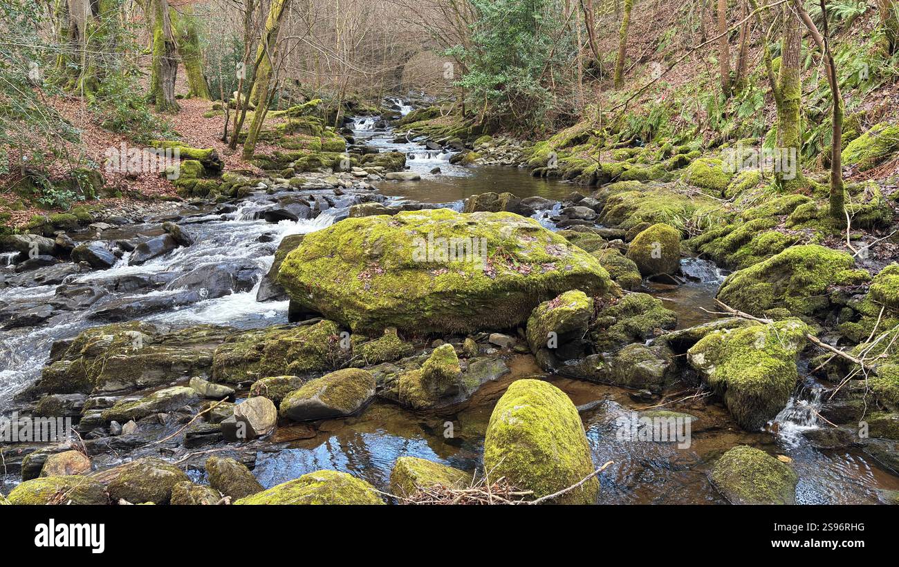 The Birks of Aberfeldy Famous Walk Along Moness Burn dove Robert Burns scrisse la sua canzone d'amore scozzese nel 1787. Destinazione turistica e posizione naturale - Immagine stock catturata con smartphone
