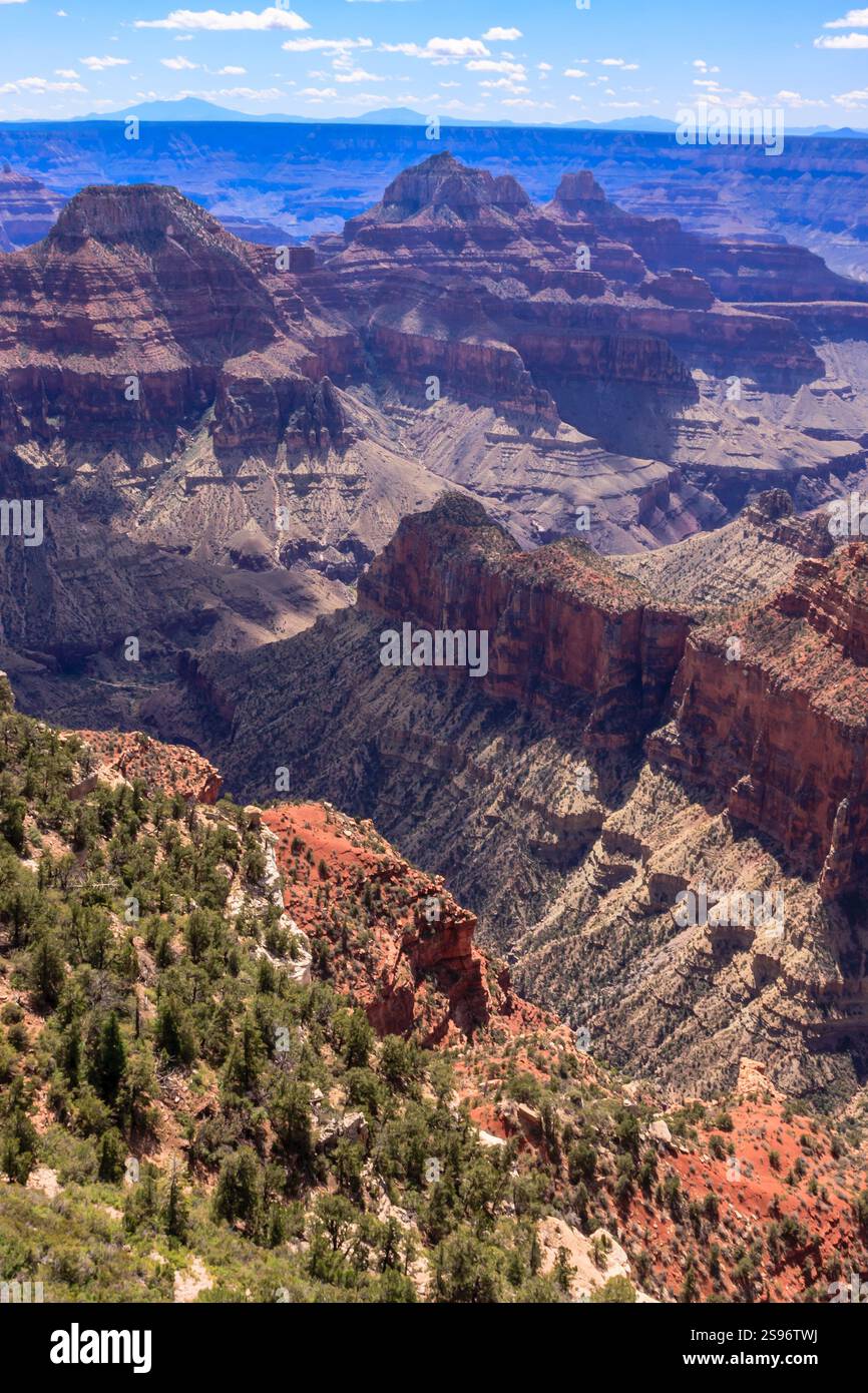 Il Grand Canyon National Park è uno dei parchi nazionali più antichi degli Stati Uniti e si trova in Arizona. All'interno del parco si trova il Grand Canyon, un gorg Foto Stock