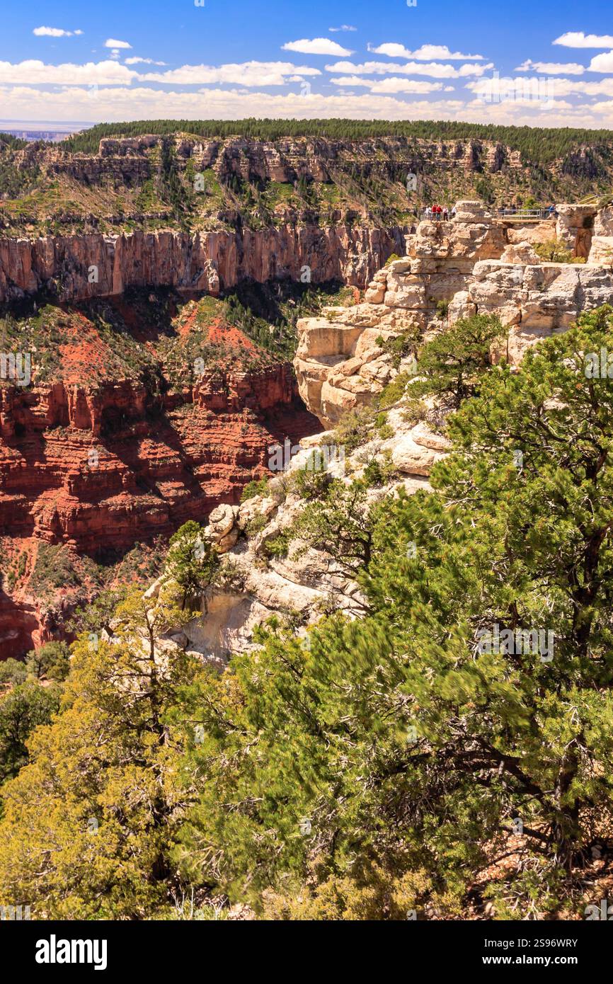 Il Grand Canyon National Park è uno dei parchi nazionali più antichi degli Stati Uniti e si trova in Arizona. All'interno del parco si trova il Grand Canyon, un gorg Foto Stock
