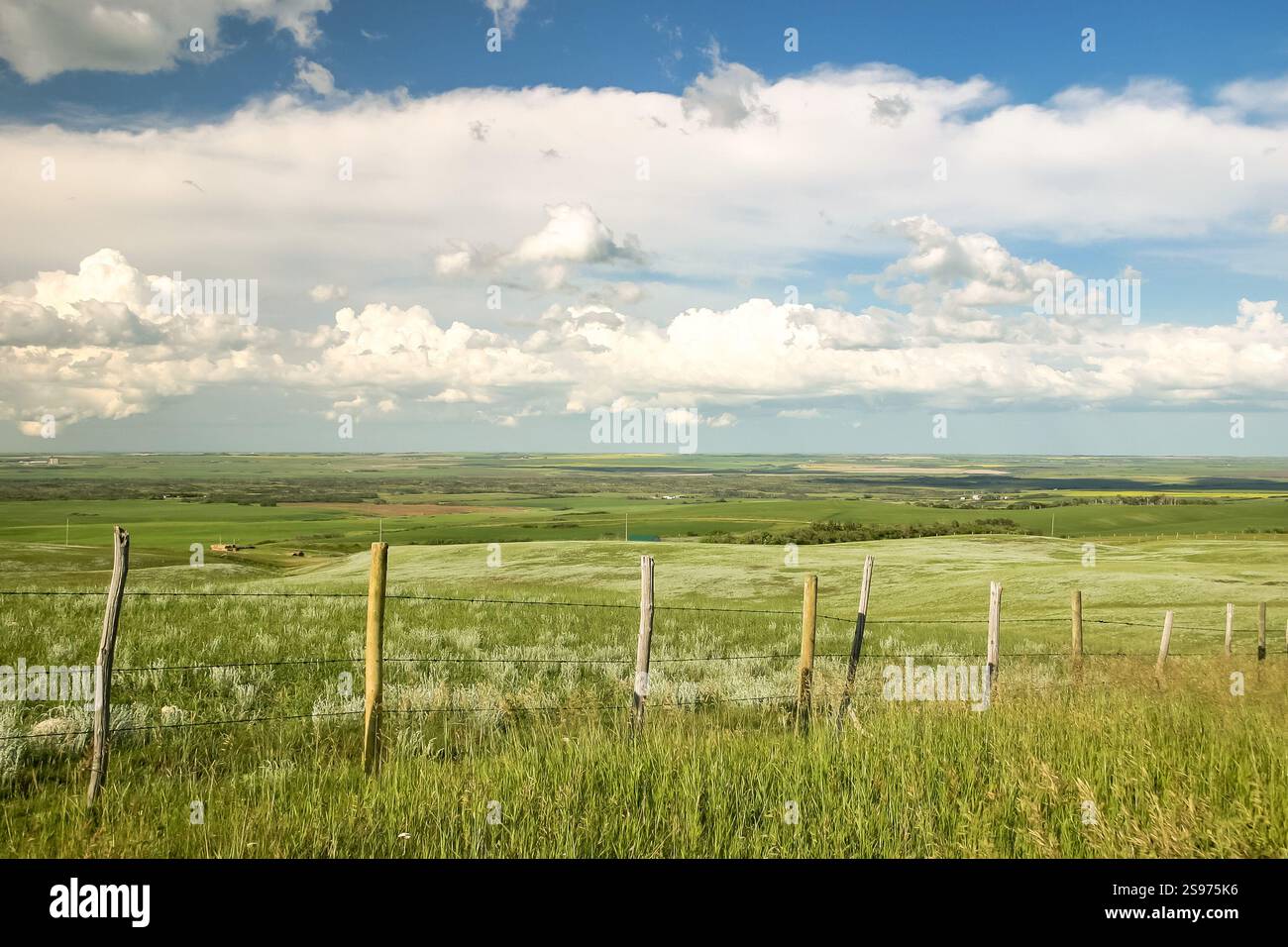 Un grande campo aperto con una recinzione al centro. Il cielo è blu e nuvoloso Foto Stock
