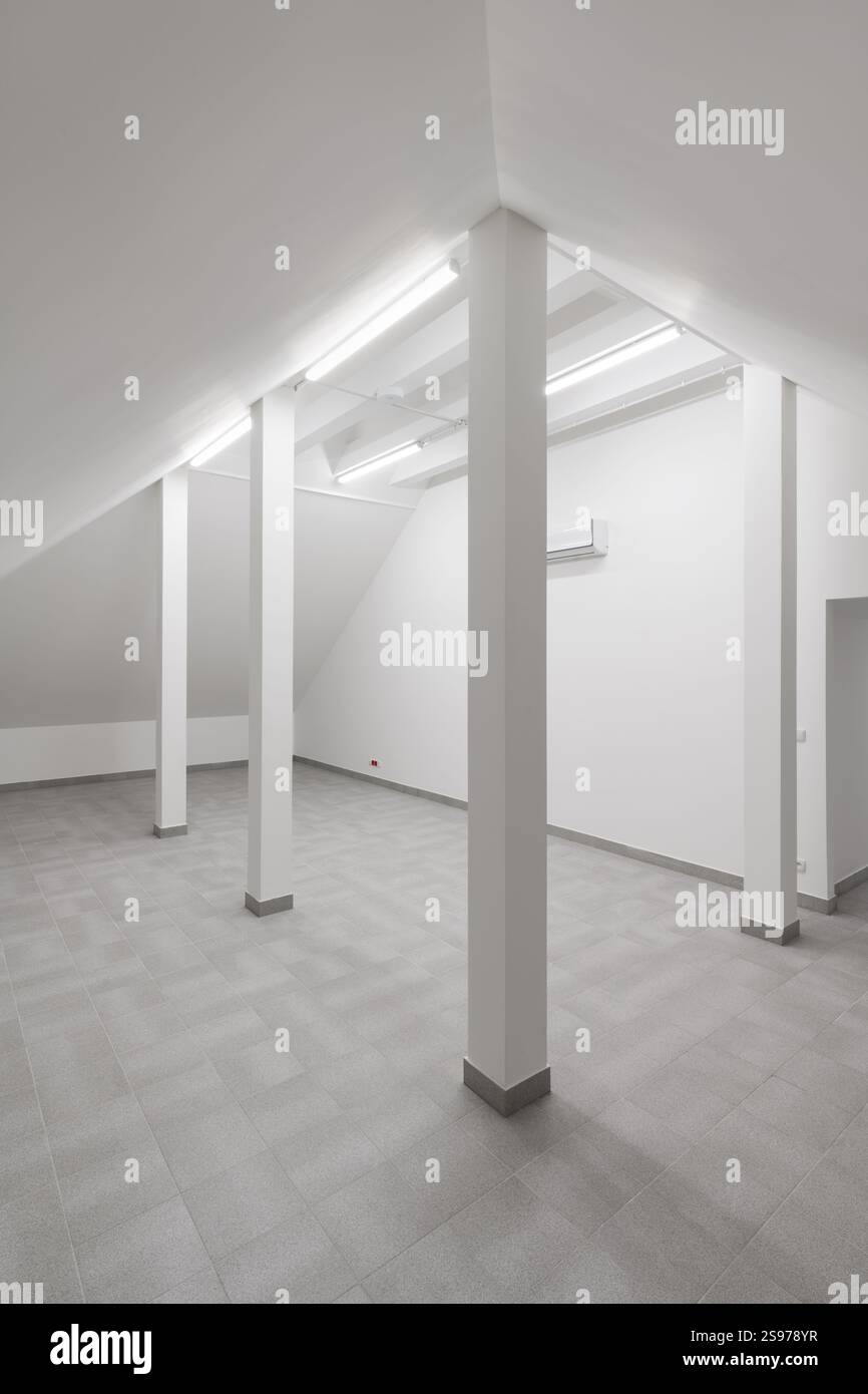 Camera moderna e vuota con colonne e pavimento piastrellato Foto Stock