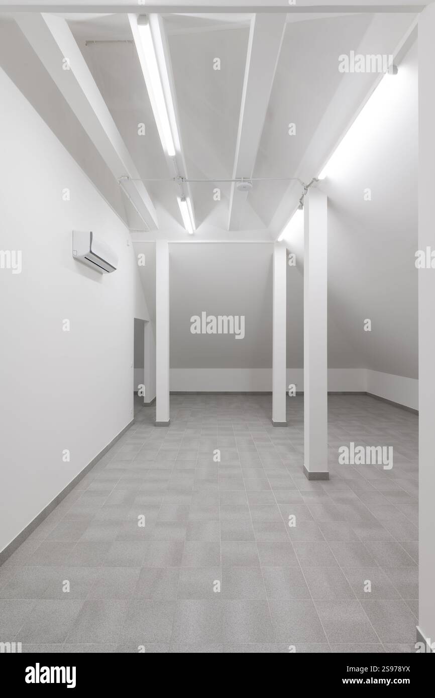 Camera moderna e vuota con colonne e pavimento piastrellato Foto Stock