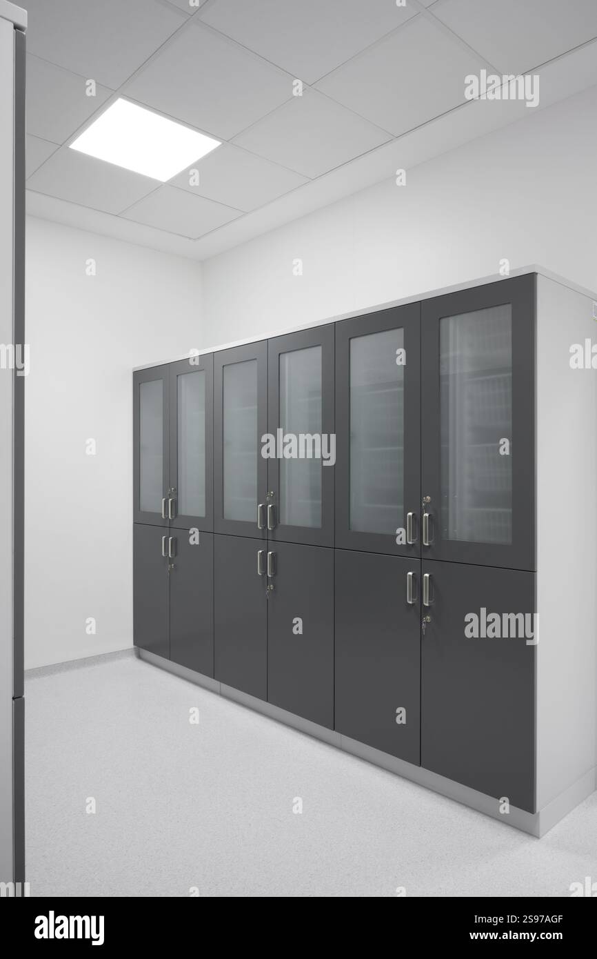 Moderni armadi di stoccaggio grigi con porte in vetro Foto Stock