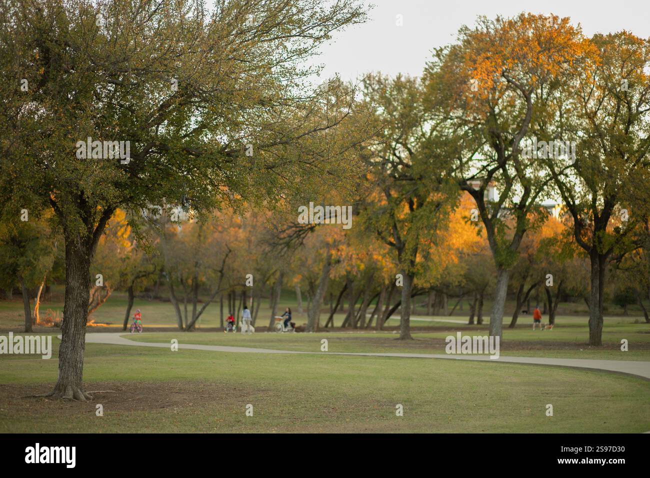 passeggiata tranquilla nel parco di una città affollata Foto Stock